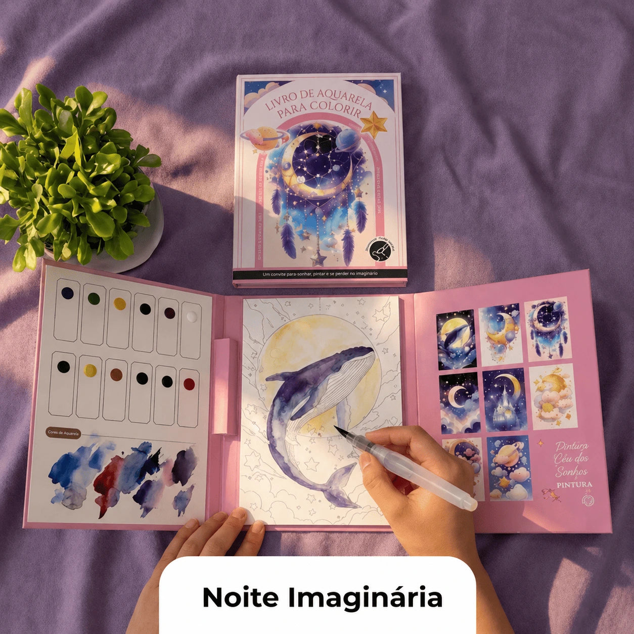 Kit Criativo de Aquarela Calma e Cor
